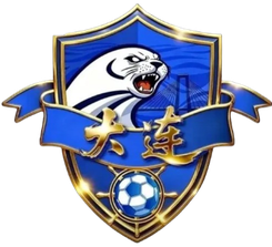 大连队logo