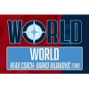 世界队